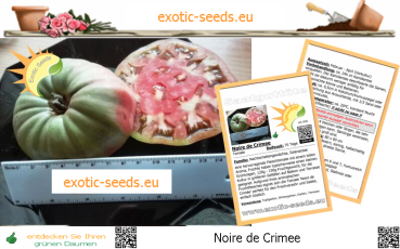 Tomate * Noire de Crimee * Fleischtomate * 20 Samen